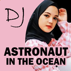 DJ Astronaut In The Ocean icône