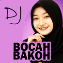 DJ Bocah Bakoh Viral APK