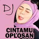 DJ Cintamu Oplosan APK