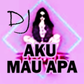 DJ Aku Mau Apa