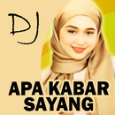 DJ Apa Kabar Sayang APK
