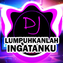 DJ Lumpuhkanlah Ingatanku APK