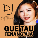 DJ Gue Tau Tenang Aja Offline APK