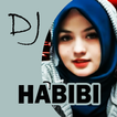 DJ Habibi