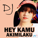 DJ Hey Kamu Akimilaku Remix APK