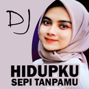 DJ Hidupku Sepi Tanpamu Remix APK