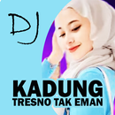 DJ Kadung Tresno Tak Eman APK