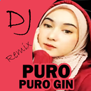 DJ Puro Puro Gin Remix APK