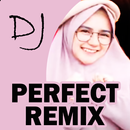 DJ Perfect Remix APK