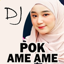 DJ Pok Ame Ame Belalang Remix APK