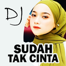 DJ Sudah Tak Cinta APK