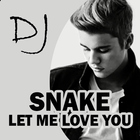 DJ Snake Let Me Love You icon