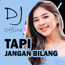 DJ Tapi Jangan Bilang Offline APK
