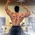 Back workout : Gym Exercises