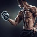Bicep workout : Gym Exercises APK