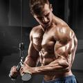 Triceps workout Gym Exercises