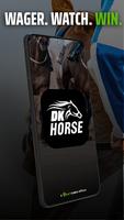 DK Horse Plakat