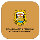 Dayasaing DKP Bandar Lampung APK