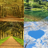 Nature Puzzles أيقونة
