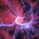 CBSE 11th Chemistry Notes APK