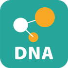 D-Link Network Assistant иконка