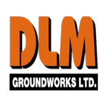 DLM