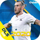 Guide for Dream Winner Soccer 2020 圖標