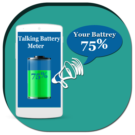 Talking Battery Meter