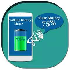 Talking Battery Meter