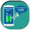 Talking Battery Meter