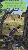 My Aviary imagem de tela 2