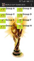 Soccer World Cup Teams 2014 Cartaz