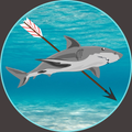 ”Hook a Shark