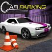 Advance Car Parking 3D - 300 L