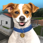 Animal Shelter أيقونة