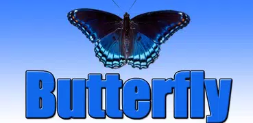 Butterfly simulator