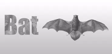 Bat simulator
