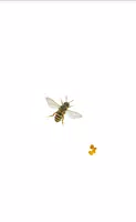 Bee تصوير الشاشة 1