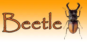 Beetle simulator