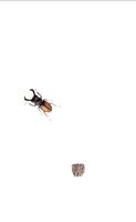 Beetle screenshot 1