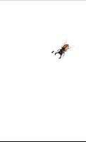 Beetle screenshot 2