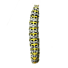Caterpillar icône