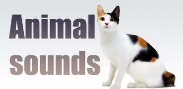 Animal sounds