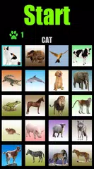 Animal sounds XAPK 下載