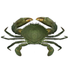 آیکون‌ Crab