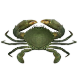 Crab ikon