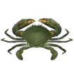 ”Crab simulator