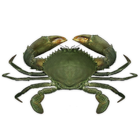 Crab icône