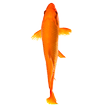 Fish simulator