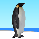 Flying penguin APK